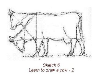 learn_to_draw_7